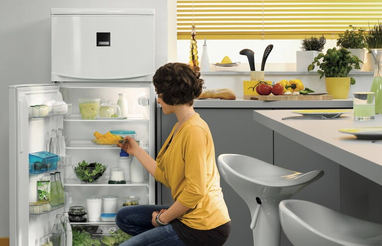 РЕКОМЕНДАЦИИ К ПОКУПКЕ ОТ ZANUSSI